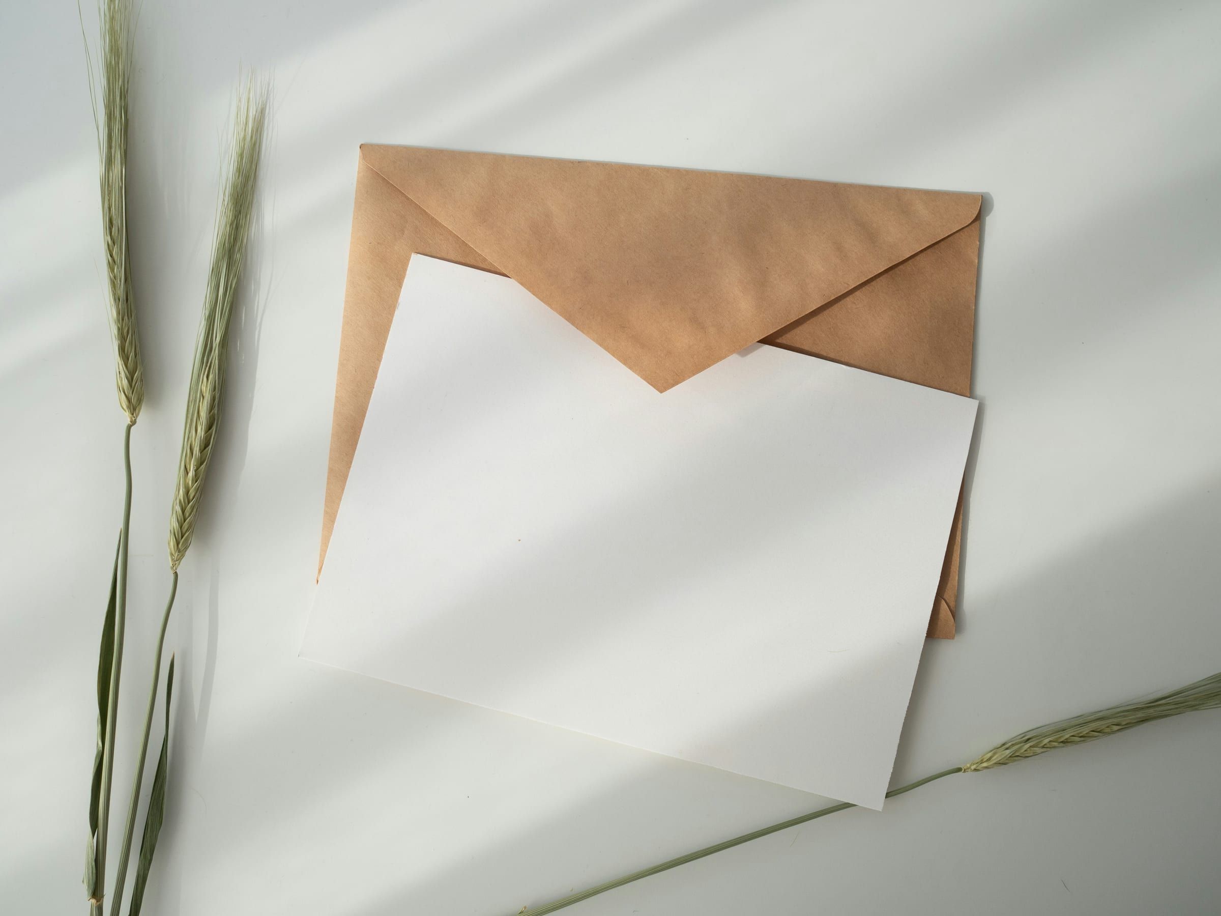 A blank white card slipped into a kraft paper envelope beside dried grass stems on a pale table in soft shadow